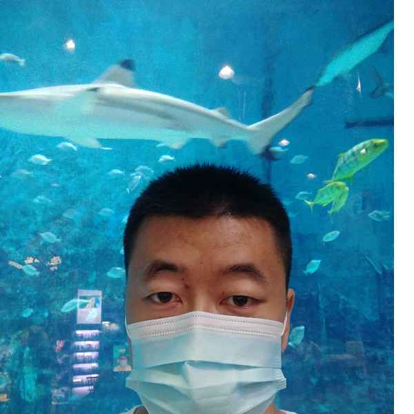 河北34岁单身帅哥真诚找对象-梅州征婚相亲网